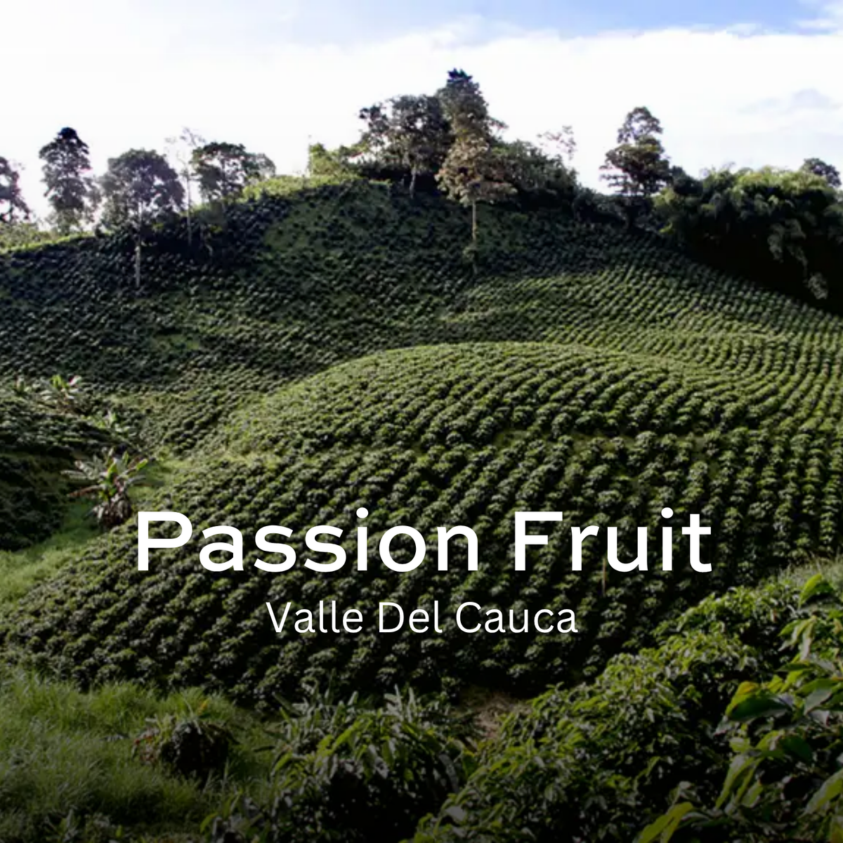 Passion Fruit
