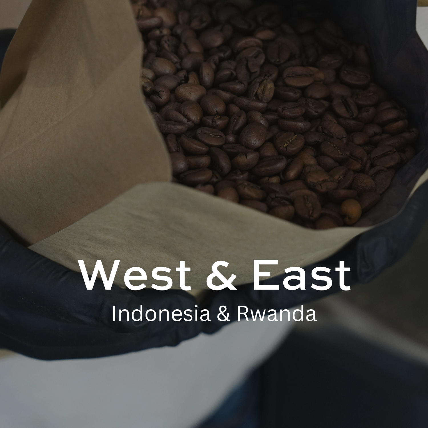 Earth Roastery | Coffee | West & East