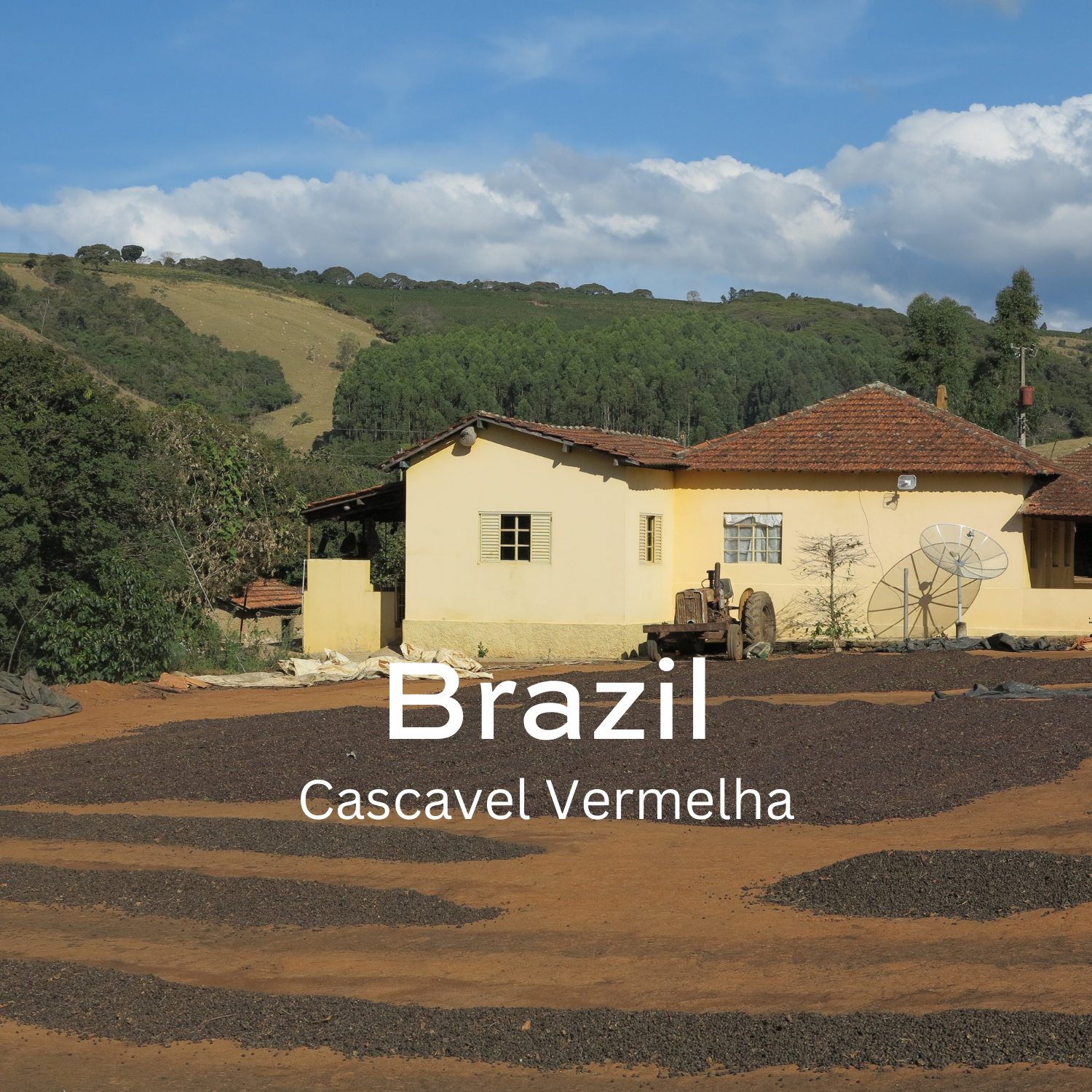 Earth Roastery | Coffee | Cascavel Vermelha (Natural)