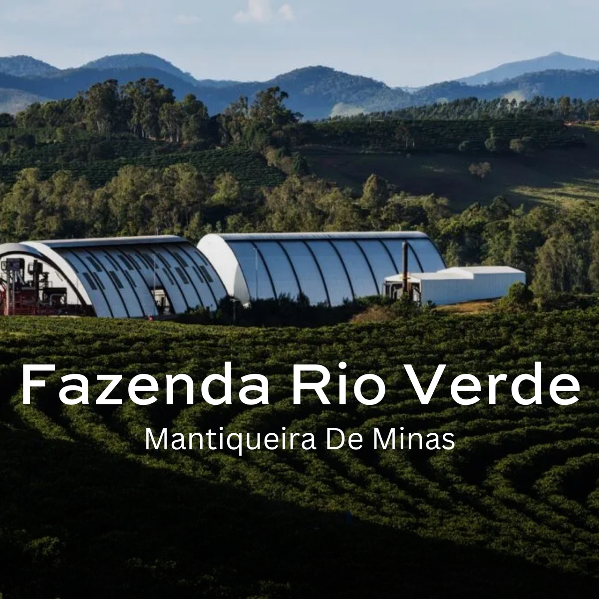 Fazenda Rio Verde