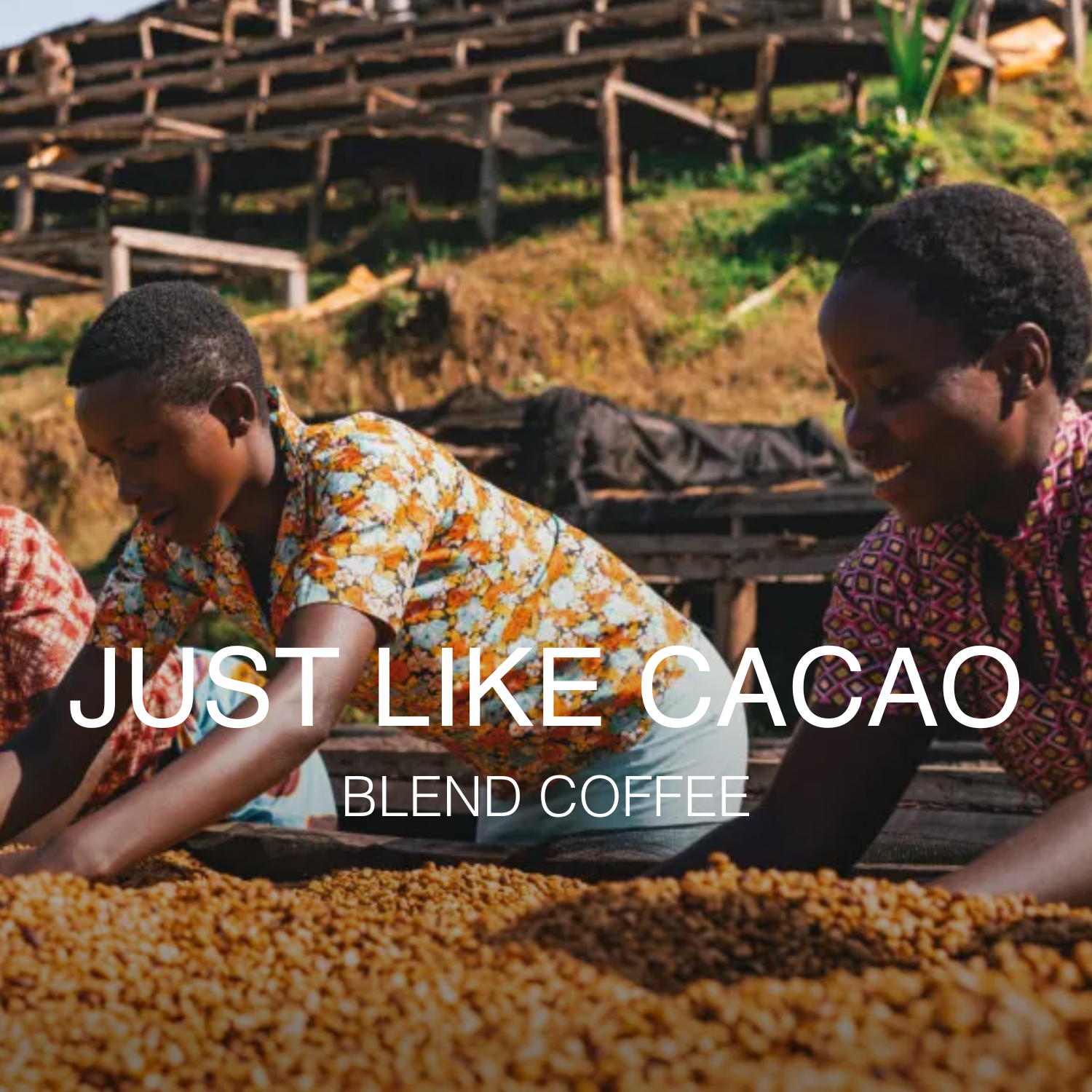 Just Like Cacao