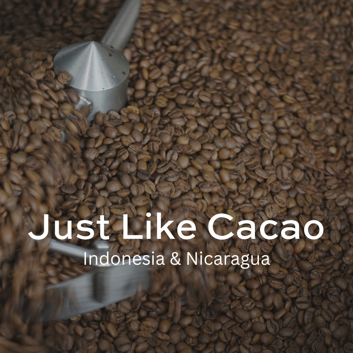 Just Like Cacao