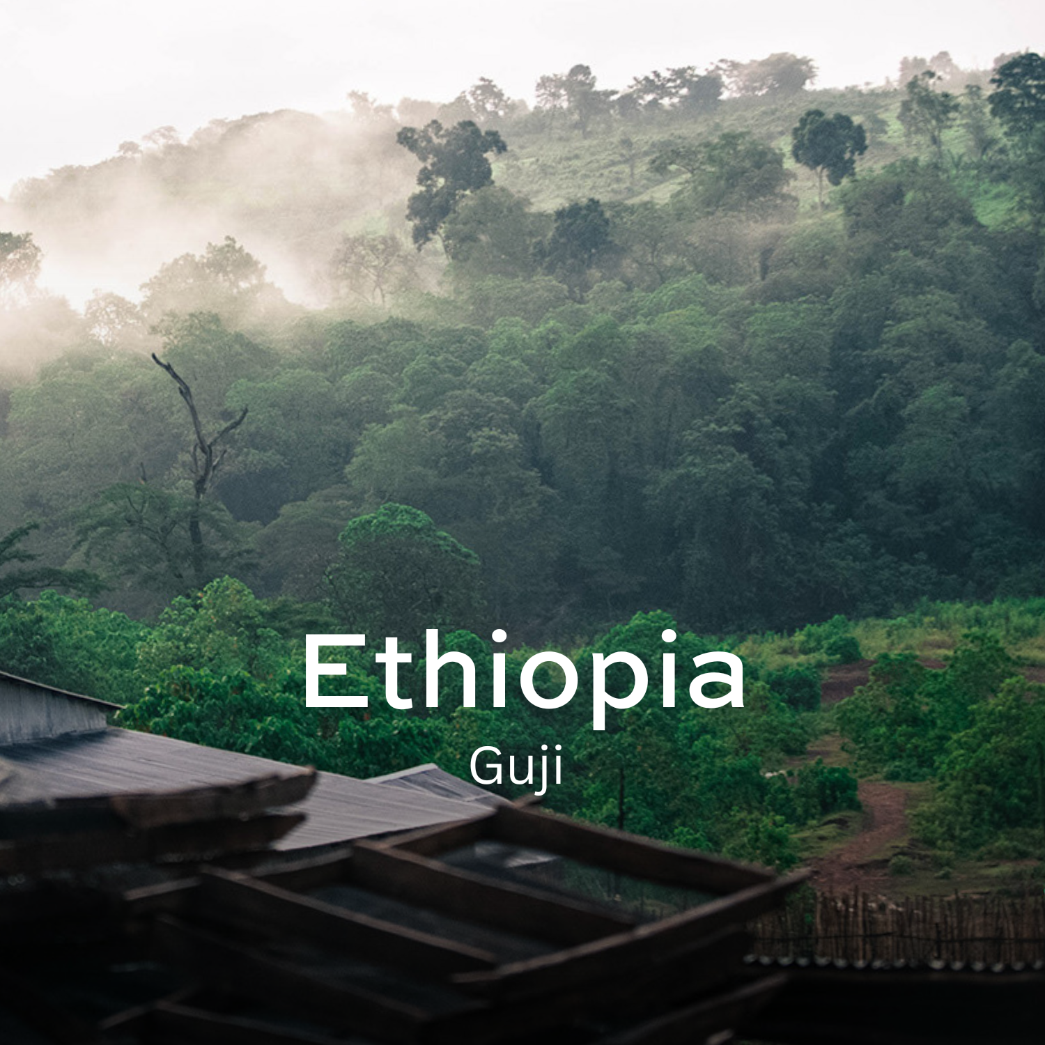 Earth Roastery | Coffee | Guji Korma (Natural)