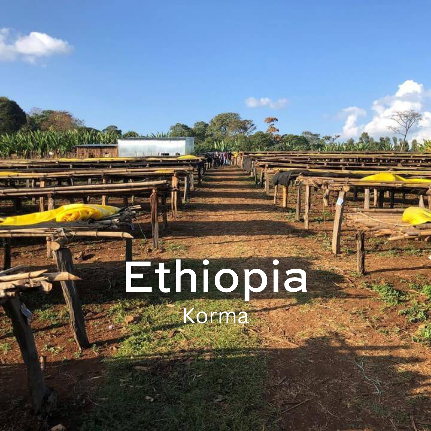 Earth Roastery | Coffee | Korma (Natural)