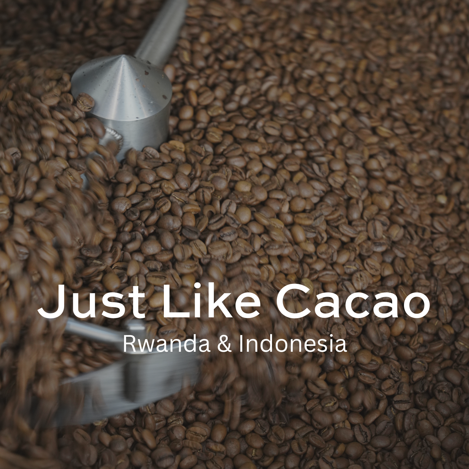 Earth Roastery | Coffee | Just Like Cacao
