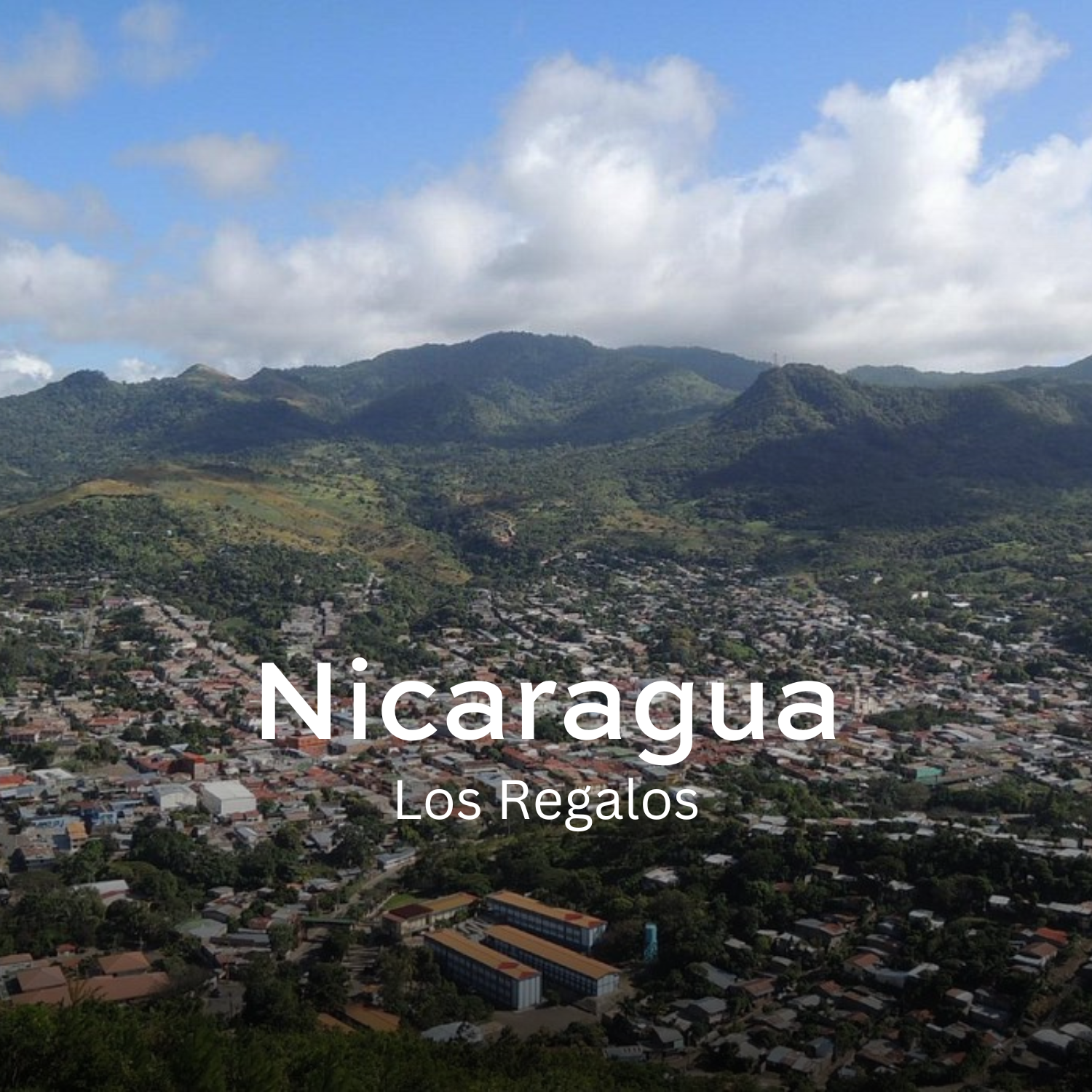 Earth Roastery | Coffee | Los Regalos (Honey)