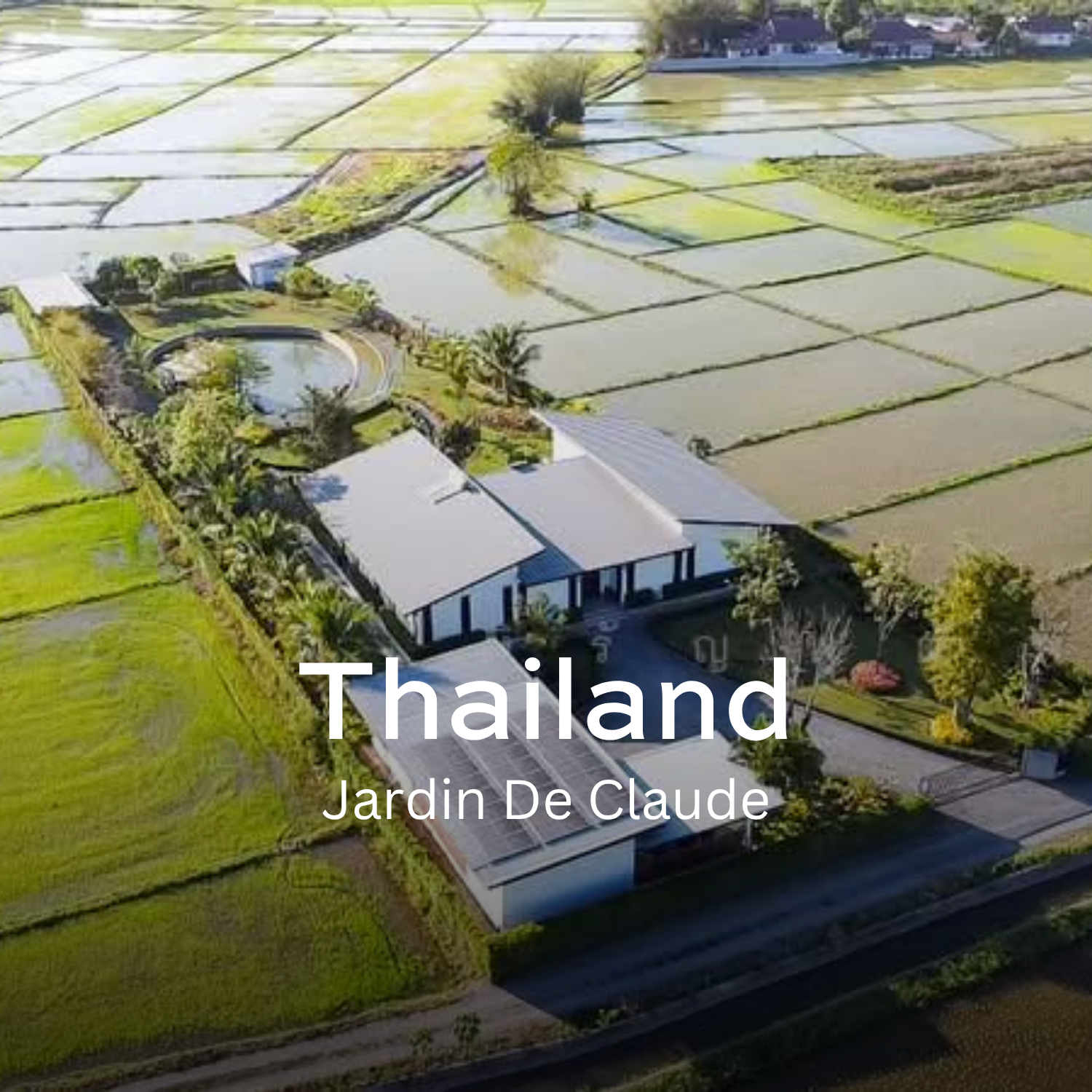 Earth Roastery | Coffee | Jardin De Claude (Natural)